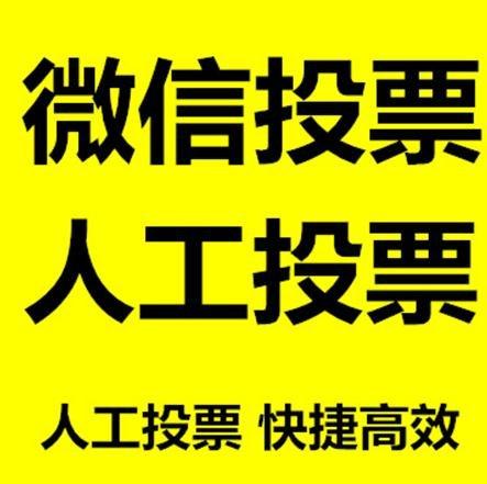 哈密地区投票活动拉票能被查出来吗？如何操作能不被发现？